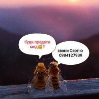Куплю мед від 300кг, Харьковская обл