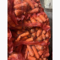 Продам моркву другого сорту, від 5 тон