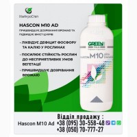 Green Has Hascon M10 AD 1л (Італія)