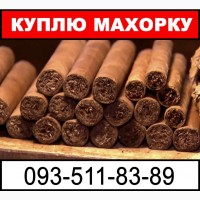 Купую ферментований тютюн – махорка, хлоп’я, самосад