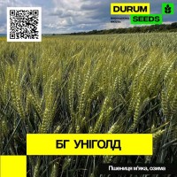 Пшениця м#039;яка, озима - BG Unigold (Durum Seeds)