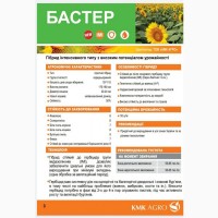 Насіння соняшнику гібрид Бастер (Стандарт) (Екстра ), КМК Агро, Україна 2023 рік